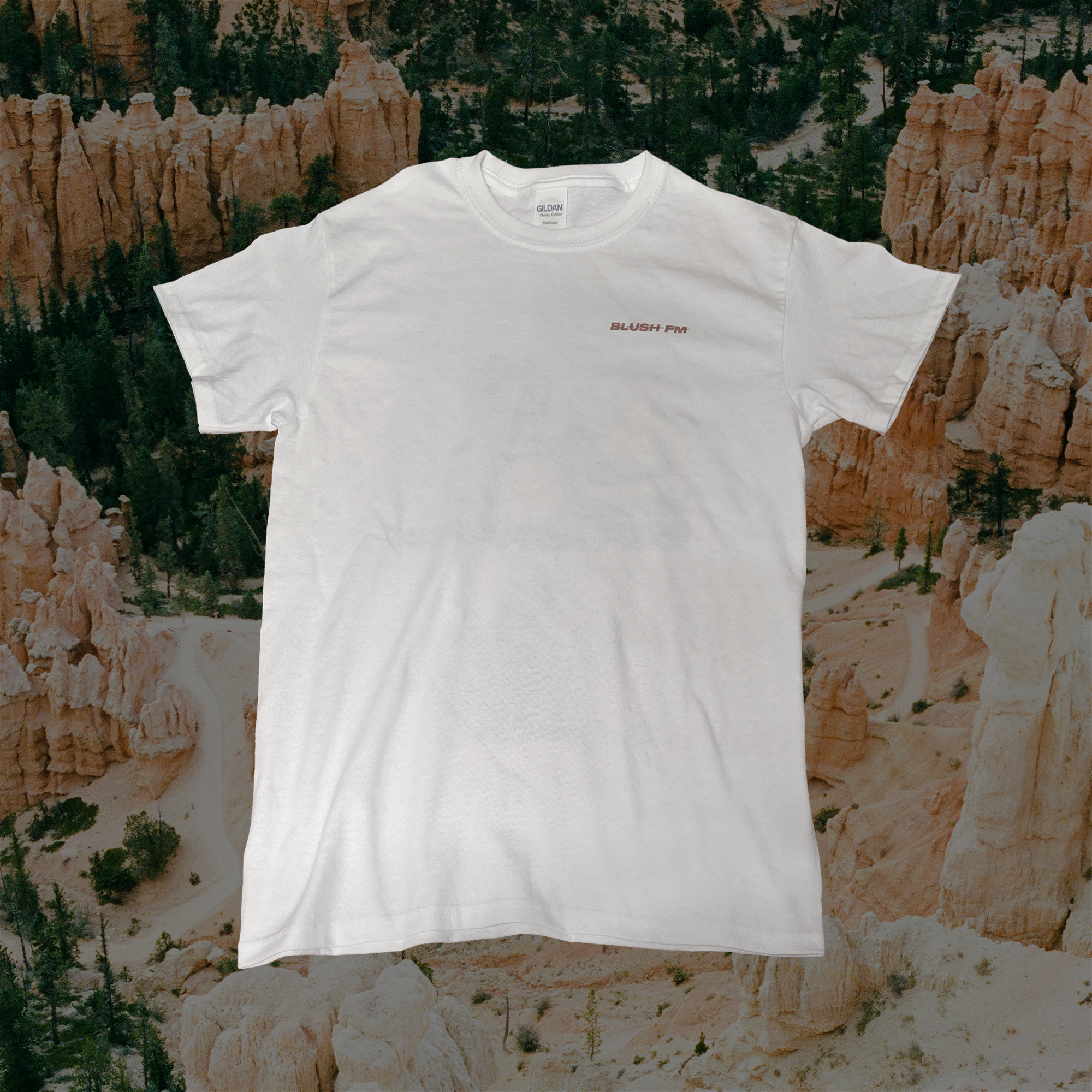 Blush FM - T-Shirt - White ( + Digital Download of Single Track "Move")